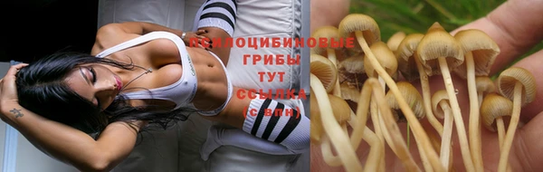 марихуана Баксан