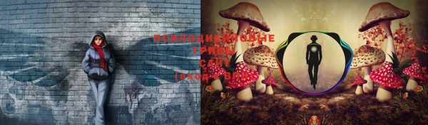 прущие крисы Рославль